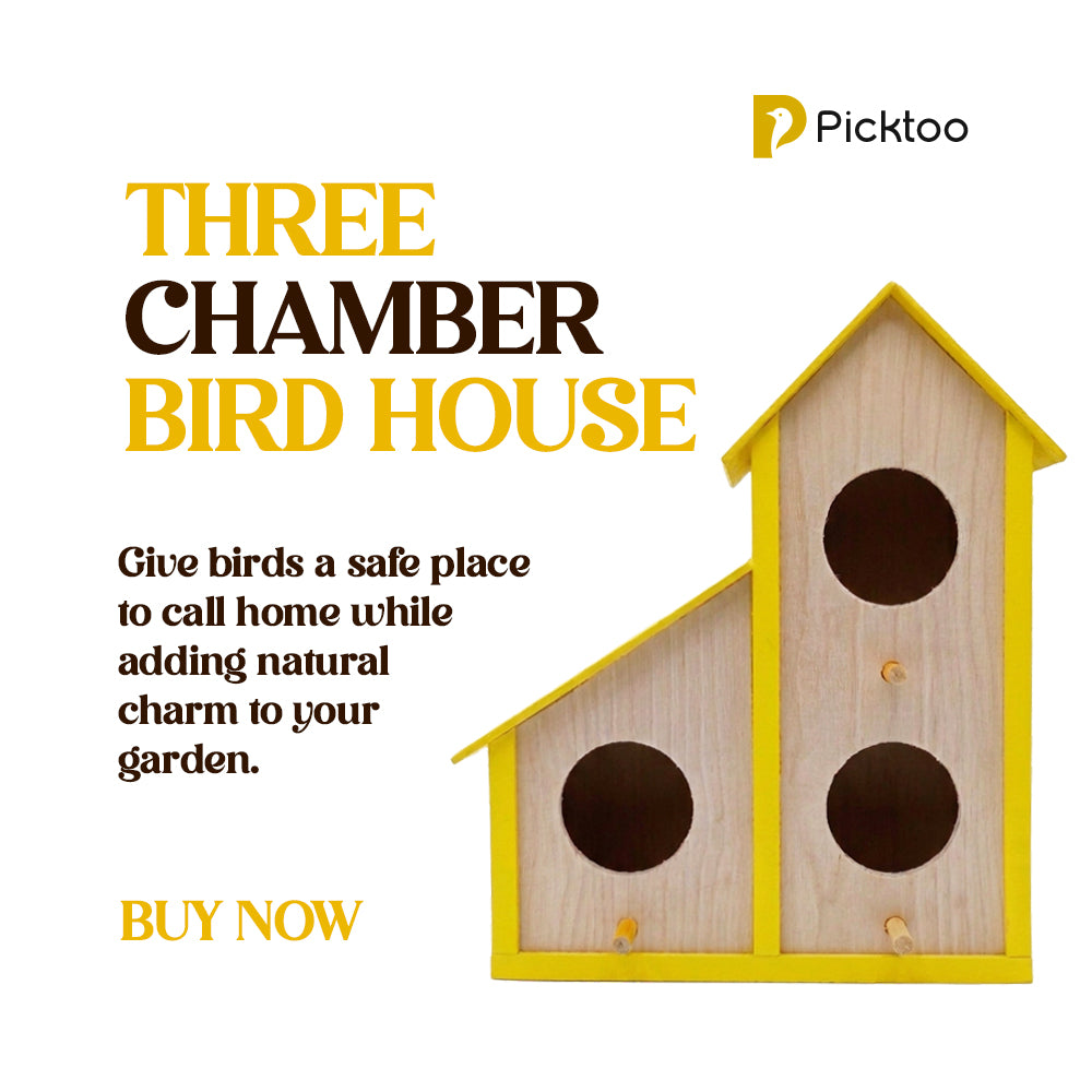 Three Chamber Birdhouse