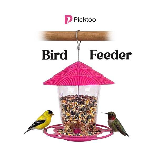 Premium Hanging Bird Feeder