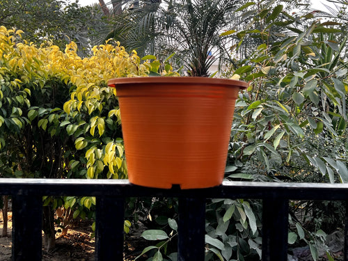 Colorful pots