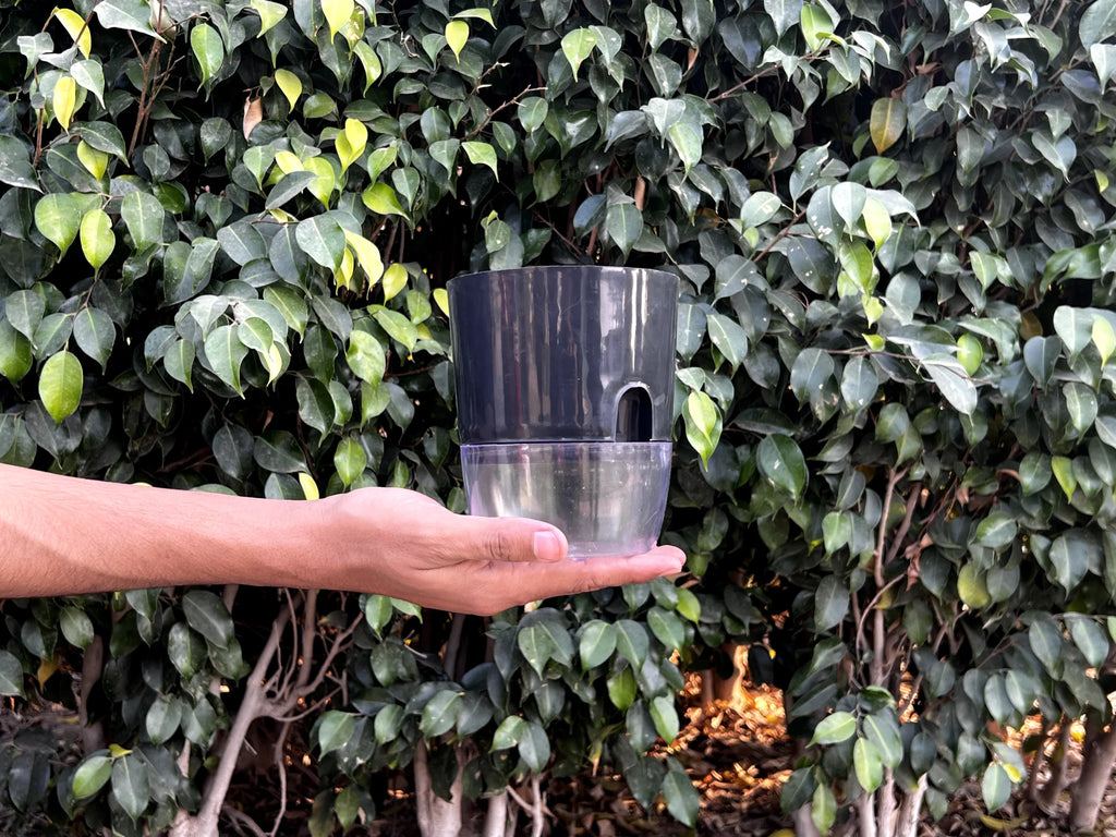 Self Watering Pots