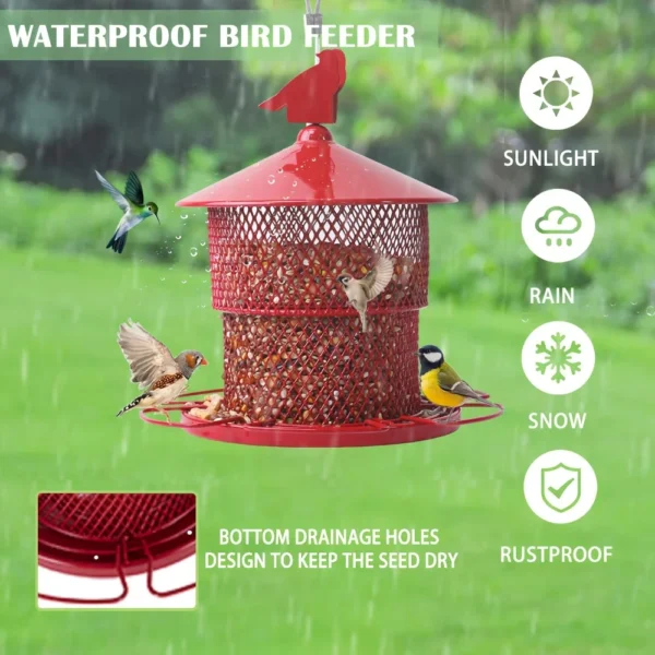 Metal Bird Feeder – Squirrel-Proof, Durable & Weather-Resistant - Image 3