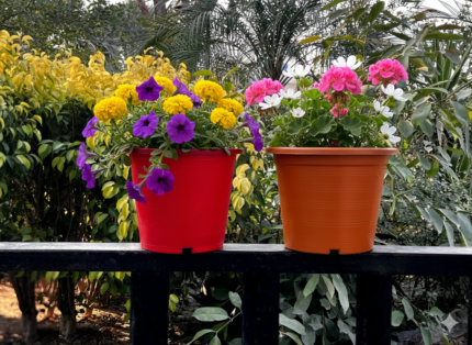 Colorful pots