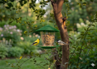 Premium Hanging Bird Feeder - Image 12