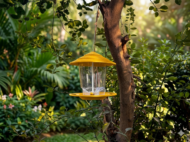Premium Hanging Bird Feeder - Image 8