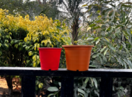 Colorful pots - Image 2