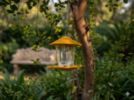 Premium Hanging Bird Feeder - Image 14