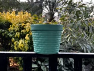 Brick Fiber Pots for Plants - Image 3