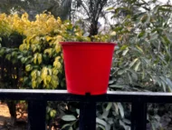 Colorful pots - Image 5