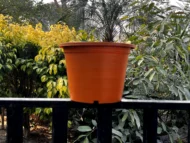 Colorful pots - Image 6