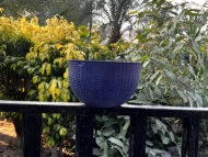 New lined stunning basket - Image 4