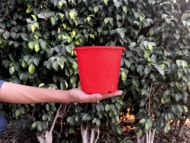 Colorful pots - Image 7