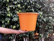 Colorful pots - Image 8