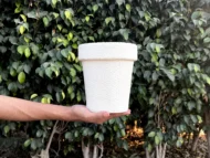 fiber pots for plants