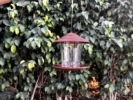Premium Hanging Bird Feeder - Image 15