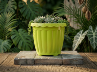 Plastic Hanging Pot for Balcony & Garden - Image 3