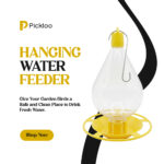 Premium Hanging Water Feeder for Birds