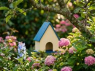 Premium Wide Roof PVC Bird House - Image 2